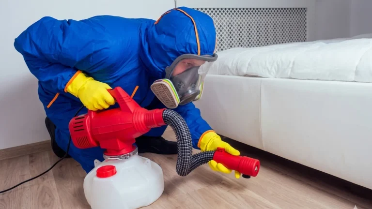 bed bugs control in al ain