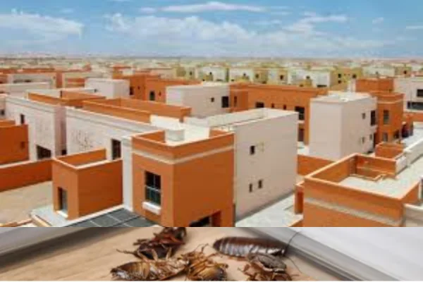 cockroach control service in villas al ain