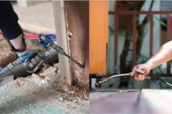 termite control treatment method in al ain