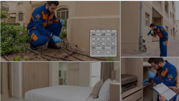 A multi-panel image showing a Prime Pests technician spraying a villa foundation (top-left), checking external apartment drainage (top-right), and conducting indoor bedroom and wardrobe bed bug checks (bottom).