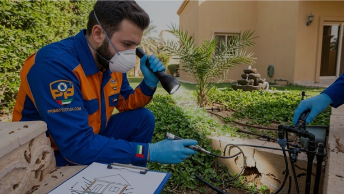 Prime Pest technician inspects a garden wall, irrigation connections, and drainage for pest entry points near a villa in Al Ain.