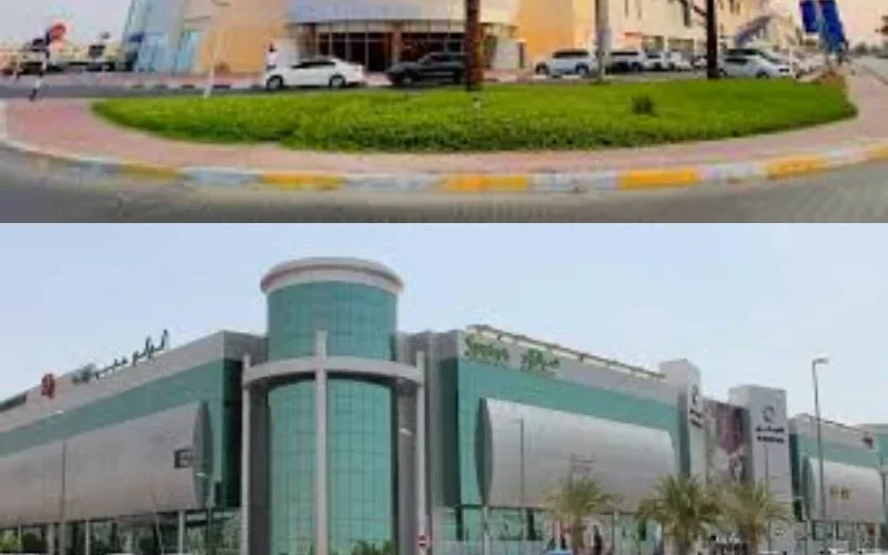 commercial pest control al ain, office pest control al ain