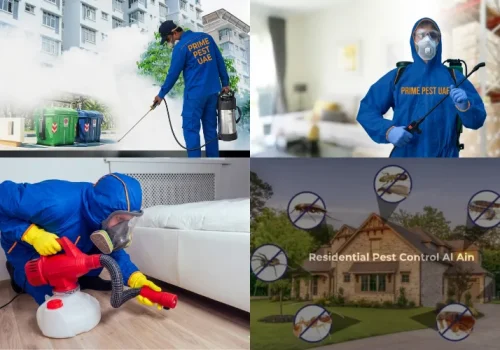 general pest removal services in al ain