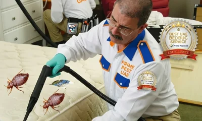 urgent bed bugs removal in al ain