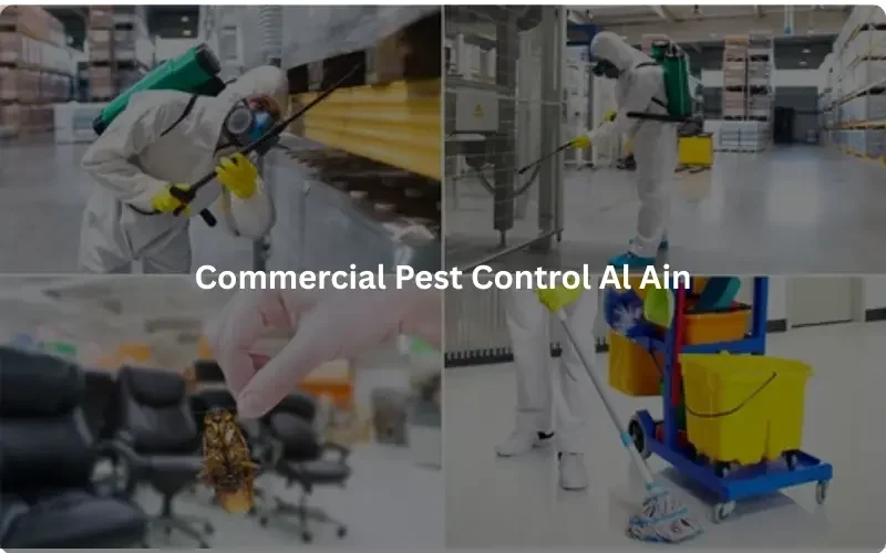 commercial pest control services in al ain