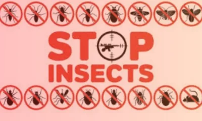 pest control al jimi