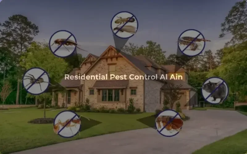 al ain residential pest control services